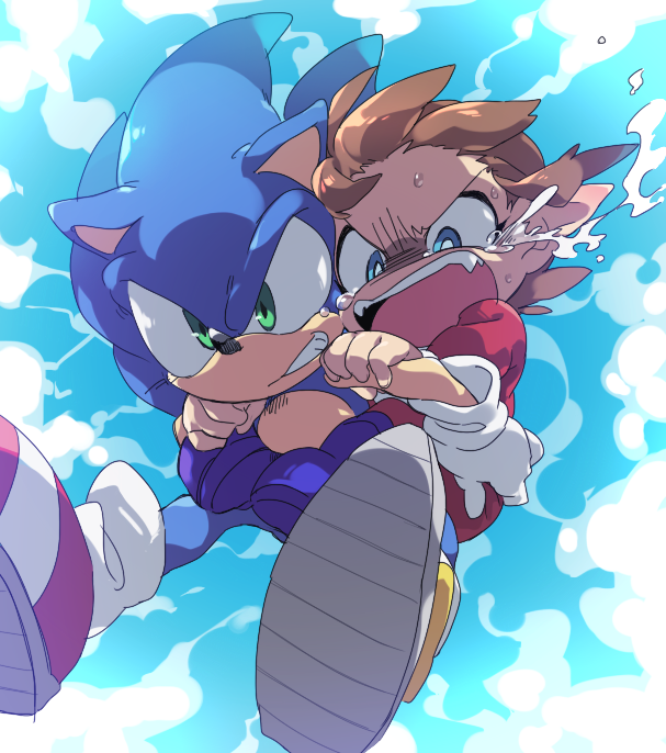 Sonic and Alex Kidd by Hōmei