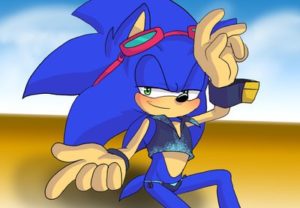 hall_of_fame_sonic_hedgehog_swimsuit