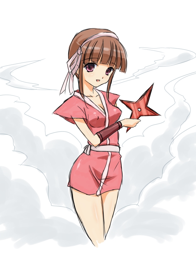 Ninja Princess by Hachibei