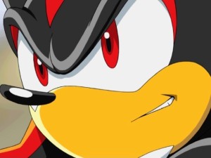 shadow-of-a-hedgehog-from-anti-hero-to-zero-4
