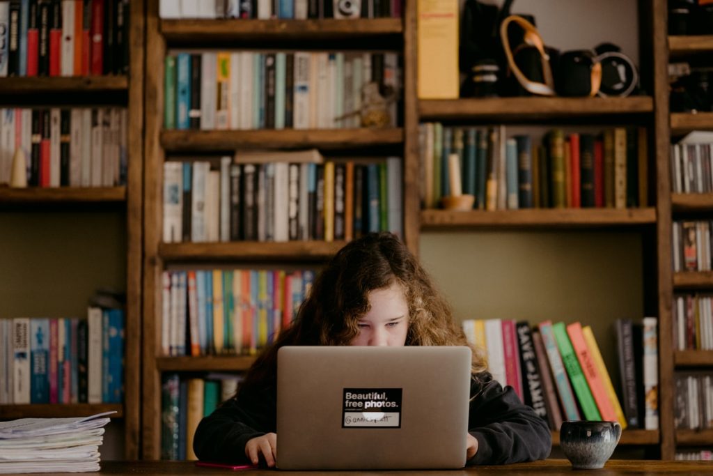 structure of a history dissertation